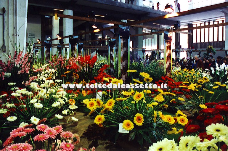 EUROFLORA 2001 - Gerbere e gladioli nel Padiglione Regionale