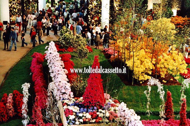 EUROFLORA 2006 - L'incredibile variet di fiori e colori al Padiglione "S"