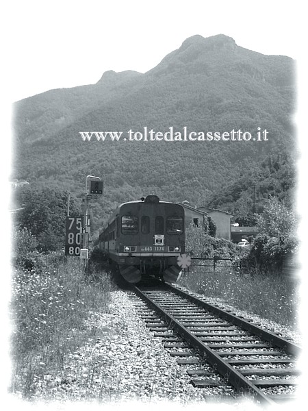 FERROVIA AULLA-LUCCA (Agosto 2009) - Nei pressi di Monzone il treno di linea ALn 663-1174 proveniente da Equi Terme