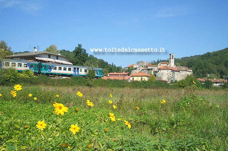 FERROVIA AULLA-LUCCA - Treno di linea in transito nella campagna in fiore a Rometta di Fivizzano