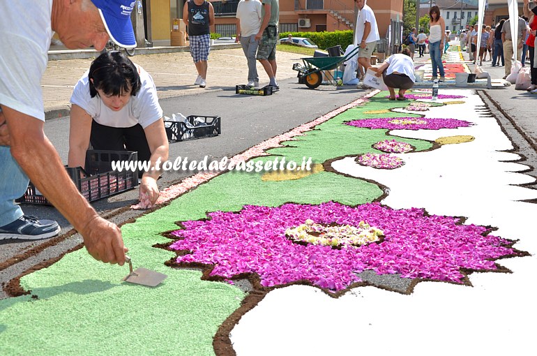 BRUGNATO (Infiorata del Corpus Domini 2015) - In Via Briniati si spiana il fondo in sale e sabbia del tappeto floreale utilizzando una cazzuola