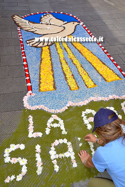 BRUGNATO (Infiorata del Corpus Domini 2017) - Allestimento disegno di una colomba con testo "La pace sia con voi"