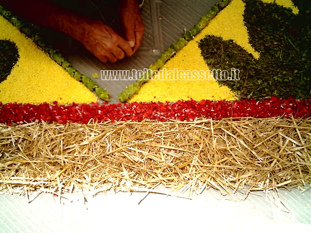 BRUGNATO (Infiorata del Corpus Domini 2006) - Mani esperte sistemano accuratamente i componenti del tappeto floreale (fiori, erba, paglia, sabbia colorata...)