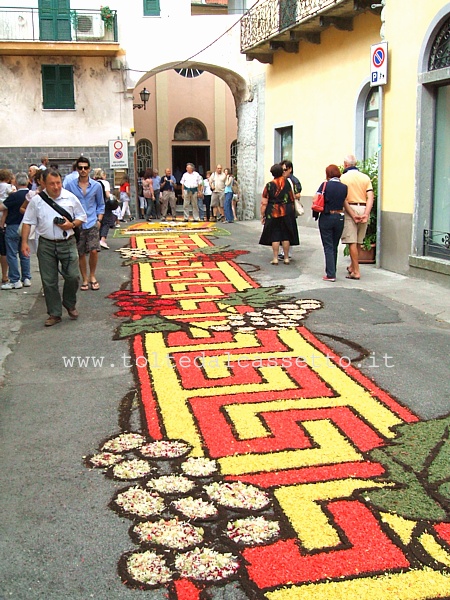 BRUGNATO (Infiorata del Corpus Domini 2010) - Tralci di vite e grappoli d'uva compongono il tappeto floreale in Via Roma (vista lato centro storico)