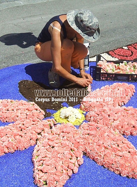 BRUGNATO (SP) - INFIORATA DEL CORPUS DOMINI 2011 - Petalo gigante realizzato con fiori di garofano