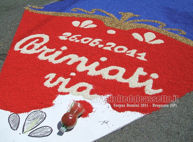 BRUGNATO (Infiorata del Corpus Domini 2011) - Logo di Via Briniati