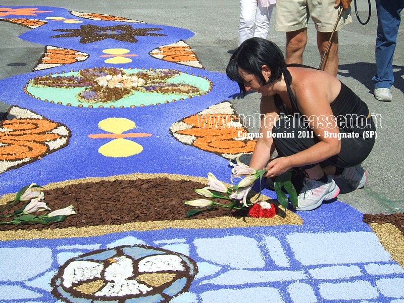 BRUGNATO(SP) - INFIORATA DEL CORPUS DOMINI 2011 - Un'infioratrice abbellisce il tappeto floreale con dei gigli