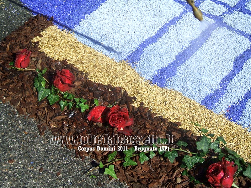 BRUGNATO (SP) - INFIORATA DEL CORPUS DOMINI 2011 - Con uno spruzzatore si rinfrescano le rose a contorno di un disegno