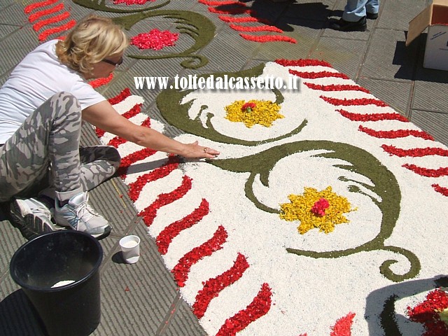 BRUGNATO (Infiorata del Corpus Domini 2013) - Allestimento del tappeto floreale in Piazza Brosini. Il bianco dello sfondo  realizzato con chicchi di riso colorati