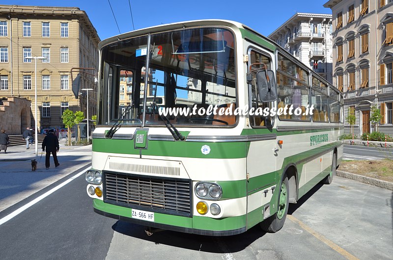 Autobus FIAT 308 L Dalla Via del 1972 (Collezione StoricBus)
