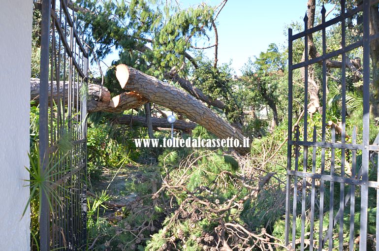 FORTE DEI MARMI - Cancello spalancato sulla distruzione avvenuta nel giardino di un bed & breakfast