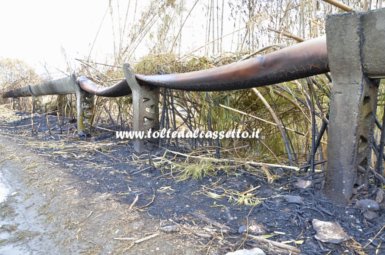 PARCO DEL MAGRA (Piano di Vezzano Ligure) - Canaletta irrigua fusa dal fuoco durante l'incendio del 7 agosto 2015