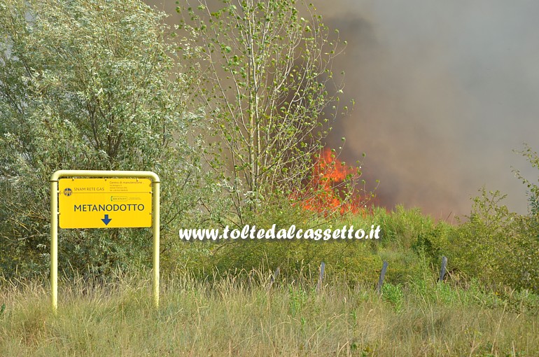 PARCO DEL MAGRA (Piano di Vezzano Ligure) - Vegetazione in fiamme sopra un metanodotto della Snam durante l'incendio del 7 agosto 2015