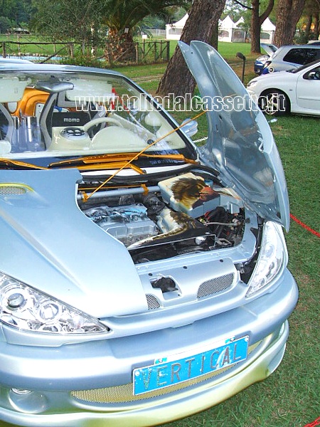 TUNING - Cofano sdoppiabile e vano motore di una Peugeot 206 cabrio con "vertical doors"
