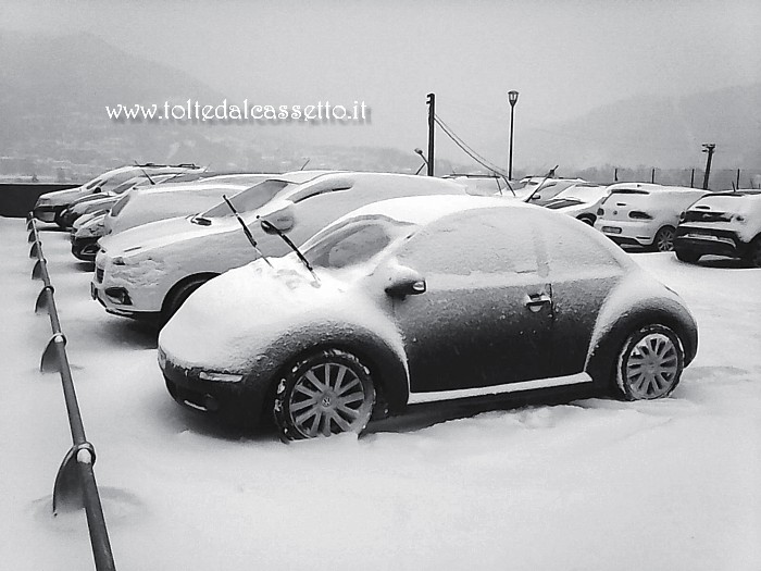 SANTO STEFANO DI MAGRA (Nevicata Marzo 2018) - Autovetture nel parcheggio di Via Circonvallazione