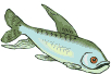 Immagine animata di un pesce