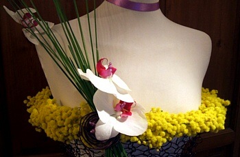 8 marzo Festa della Donna