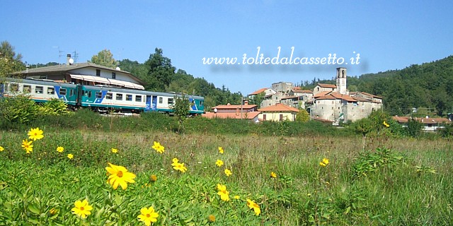 ROMETTA - Treno in transito lungo la Ferrovia Aulla-Lucca