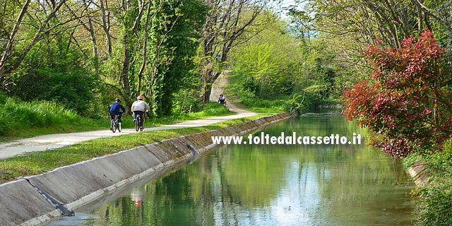 CANALE LUNENSE - La pista ciclabile scorre nel bosco tra Sarzana e S.Stefano Magra