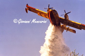 Canadair (della Protezione Civile)