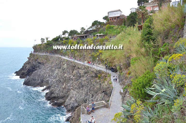 CINQUE TERRE - Passeggiata lungo la scogliera di Manarola