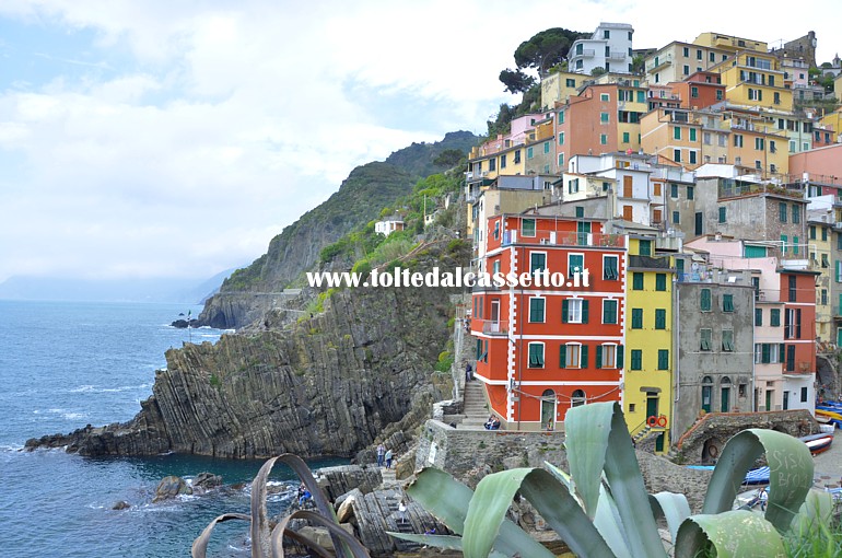 CINQUETERRE - Scorcio di Riomaggiore con scogliera