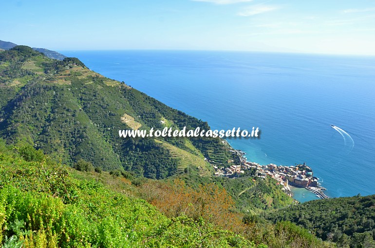 CINQUE TERRE - Panorama della costa collinare e dei terrazzamenti sopra Vernazza