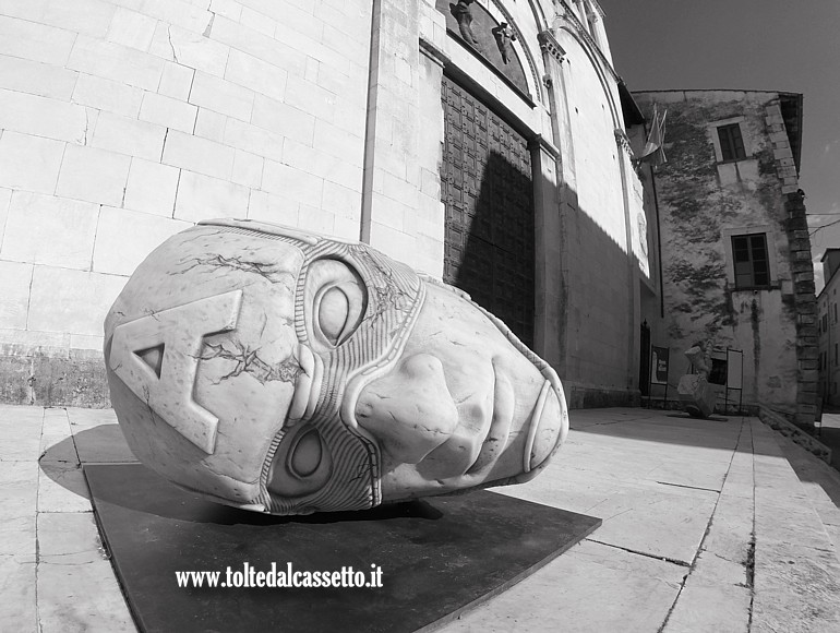 PIETRASANTA - "Teseo Head", scultura in marmo bianco di Carrara di Filippo Tincolini