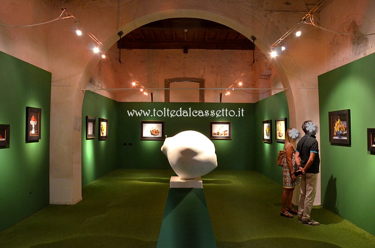 PIETRASANTA - Particolare della mostra "Orti della Germinazione" di Giuseppe Carta in una sala attigua alla Chiesa di Sant'Agostino