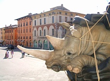 PIETRASANTA - Piazza del Duomo - Il rinoceronte del "Bagaglio Africano" da "The Animals' Countdown" di Stefano Bombardieri