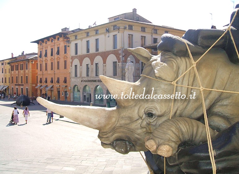 PIETRASANTA (Piazza Duomo, 2009)  - Il rinoceronte del "Bagaglio Africano" da "The Animals' Countdown" di Stefano Bombardieri