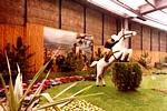 EUROFLORA 1981 - Fantino con cavallo al salto della siepe, originale scenografia equestre del Liechtenstein