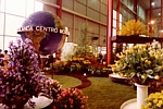 EUROFLORA 1981 - Una incredibile scenografia nello stand dell'Olanda