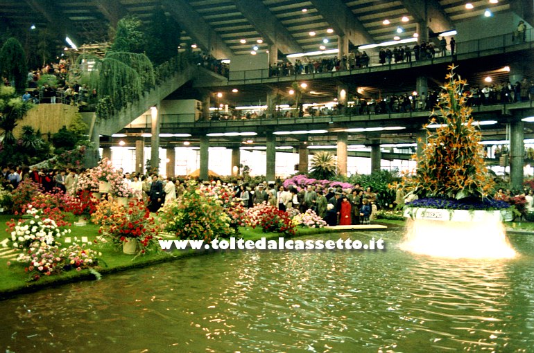 EUROFLORA 1981 - Fiori e ambiente acquatico del Comune di Sanremo