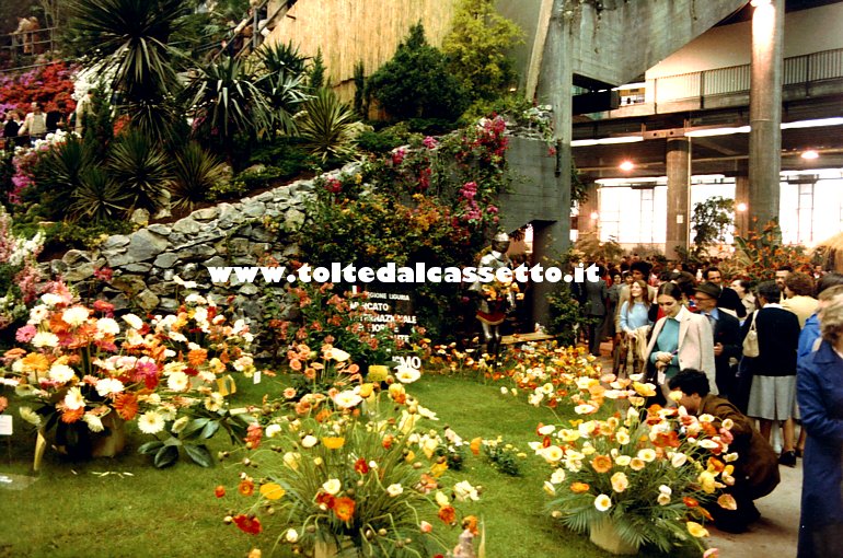 EUROFLORA 1981 - Composizioni floreali del comune di Sanremo