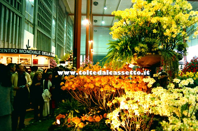 EUROFLORA 1981 - Fiori dell'Olanda