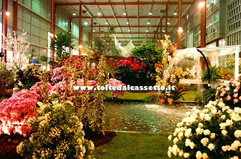 EUROFLORA 1981 - Giardino olandese con getto d'acqua