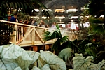 EUROFLORA 1991 - Ponti in legno e piante per la scenografia del Padiglione "S"