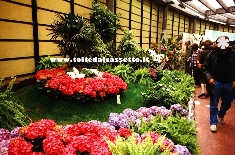 EUROFLORA 1991 - Giardino con ortensie