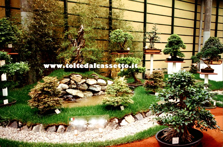 EUROFLORA 1991 - Piante di bonsai negli anelli del Padiglione "S"