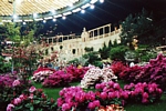 EUROFLORA 2001 - Riproduzione del giardino del principe Andrea Doria all'interno del Padiglione "S"