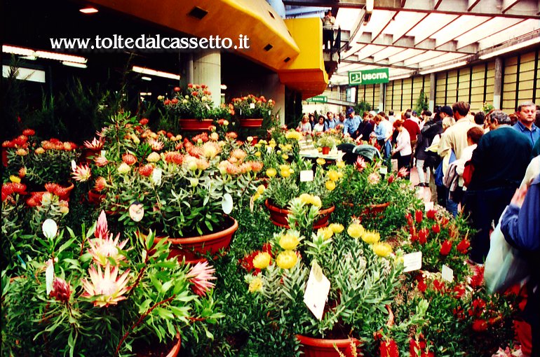 EUROFLORA 2001 - Fiori in vaso in un anello del Padiglione "S"