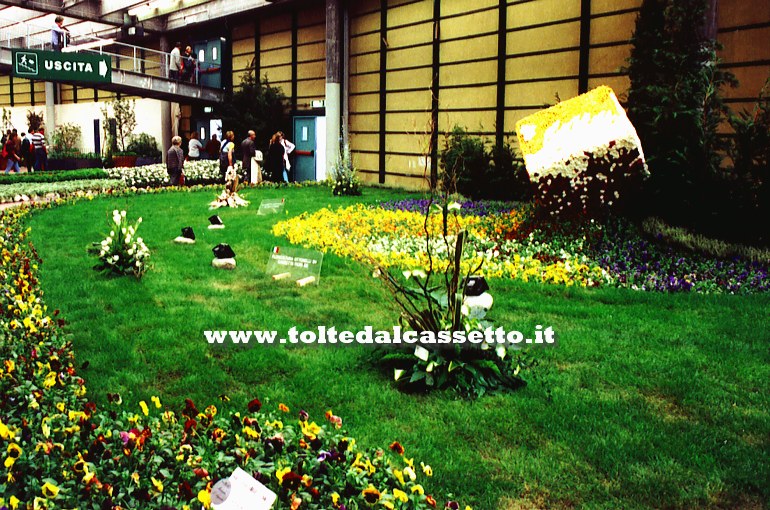 EUROFLORA 2001 - Giardino con pans e viole in un anello del Padiglione "S"