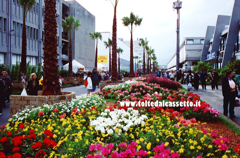 EUROFLORA 2001 - Prato di fiori lungo un viale della Fiera di Genova