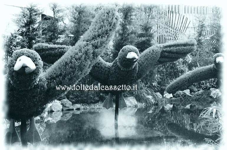 EUROFLORA 2001 - Volatili acquatici ricavati da siepi sembrano librarsi in volo su un laghetto nelle aree all'aperto