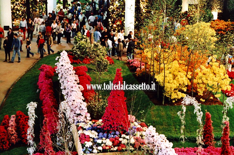 EUROFLORA 2006 - L'incredibile variet di fiori e colori al Padiglione "S"