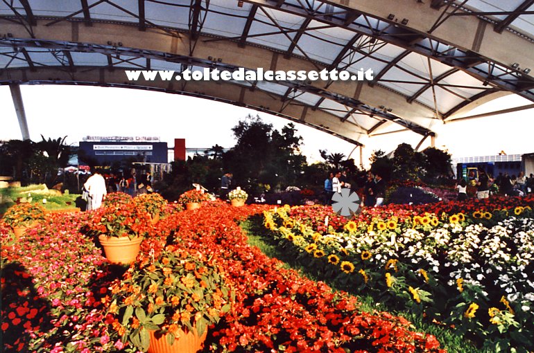 EUROFLORA 2006 - Fiori, spezie, erbe e frutti esotici, provenienti da tutto il mondo, sotto la tensostruttura della marina