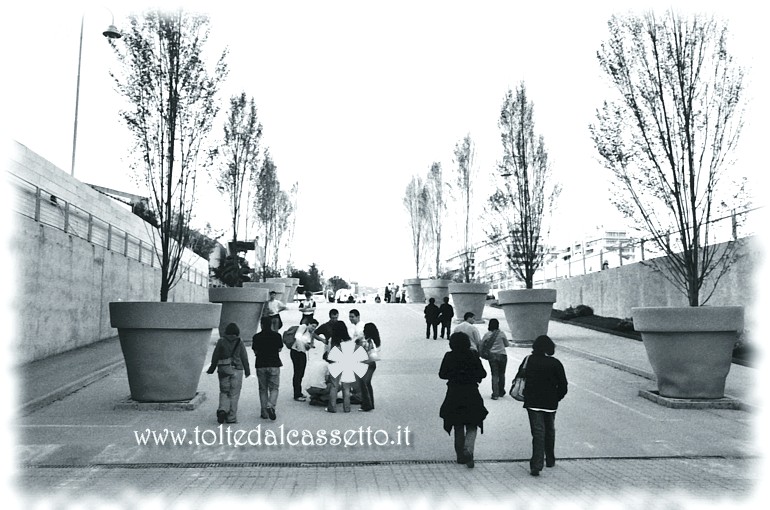 EUROFLORA 2006 - Vasi giganti sul viale di uscita dalla manifestazione