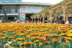 EUROFLORA 2011 - Prato all'ingresso del Padiglione "S"