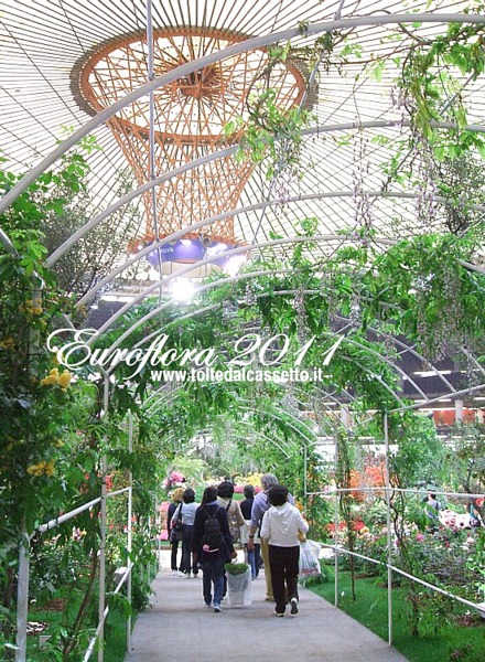 EUROFLORA 2011 - Roselline gialle e glicine adornano la struttura di entrata del Padiglione "S"